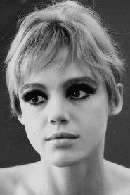 Edie Sedgwick — фото