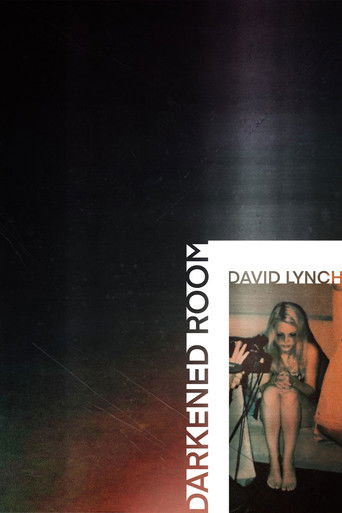 Darkened Room (2002) — постер