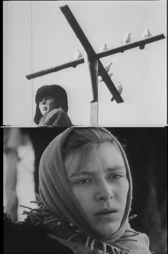Петрухина фамилия (1971) — постер