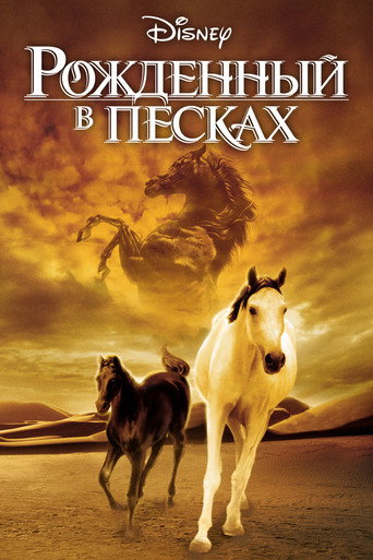 Рожденный в песках (2003) — постер