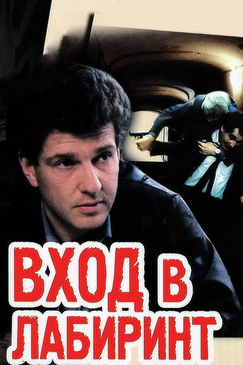 Вход в лабиринт (1990) — постер
