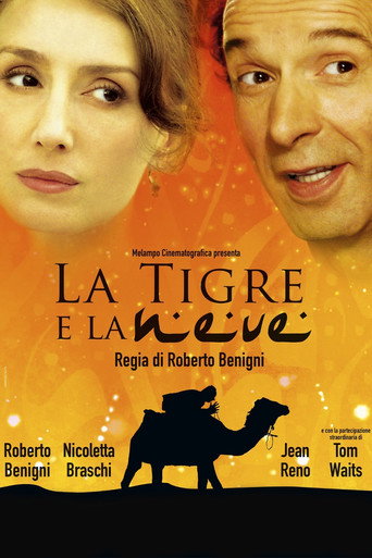 Тигр и снег (2005) — постер