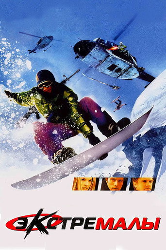 Экстремалы (2002) — постер