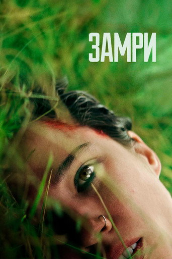 Замри (2024) — постер