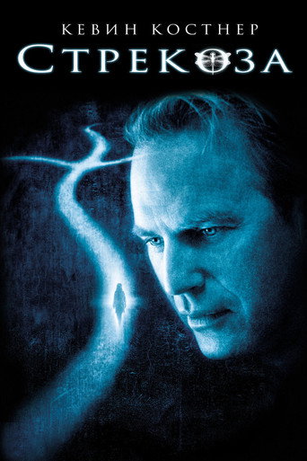 Стрекоза (2002) — постер