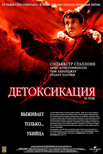 Детоксикация (2002) — постер