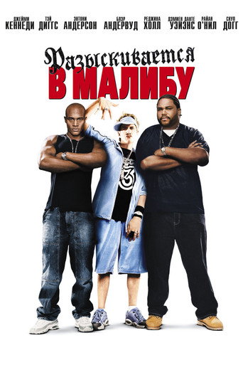 Разыскиваются в Малибу (2003) — постер