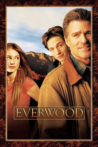 Любовь вдовца (2002) — постер