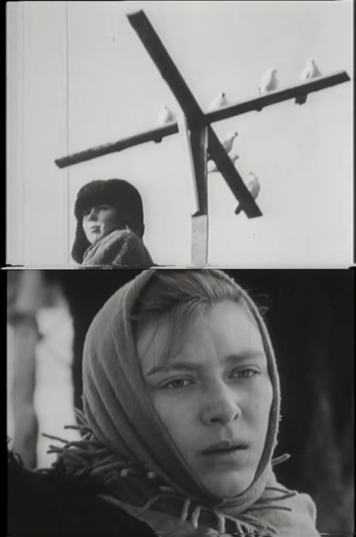 Петрухина фамилия — постер