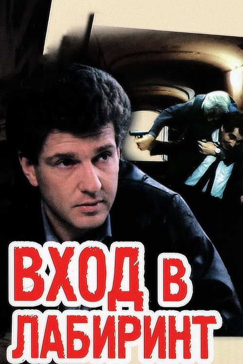 Вход в лабиринт — постер