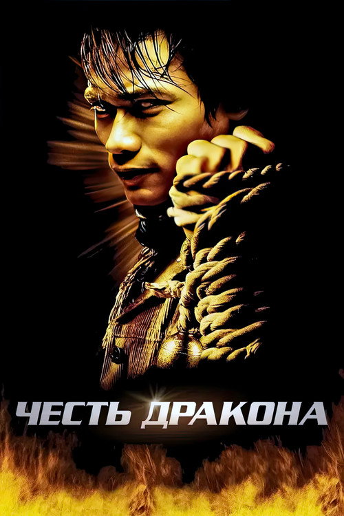 Честь дракона — постер