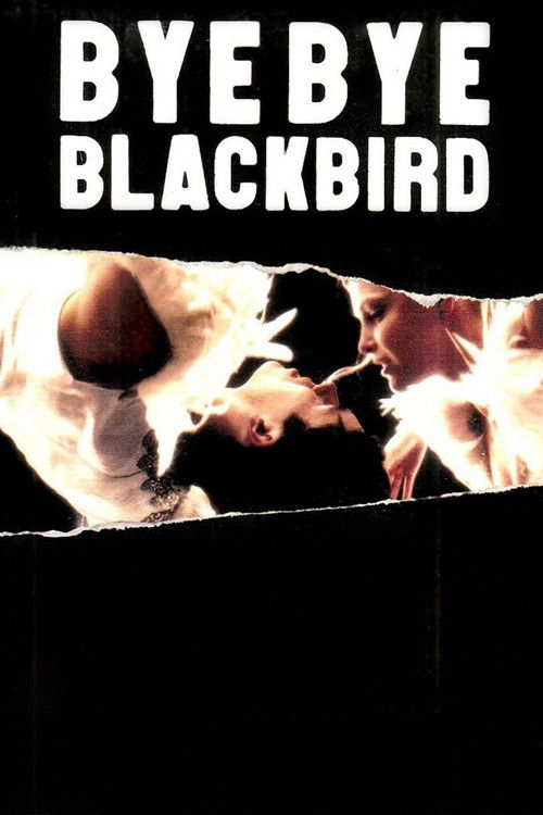 Bye Bye Blackbird — постер