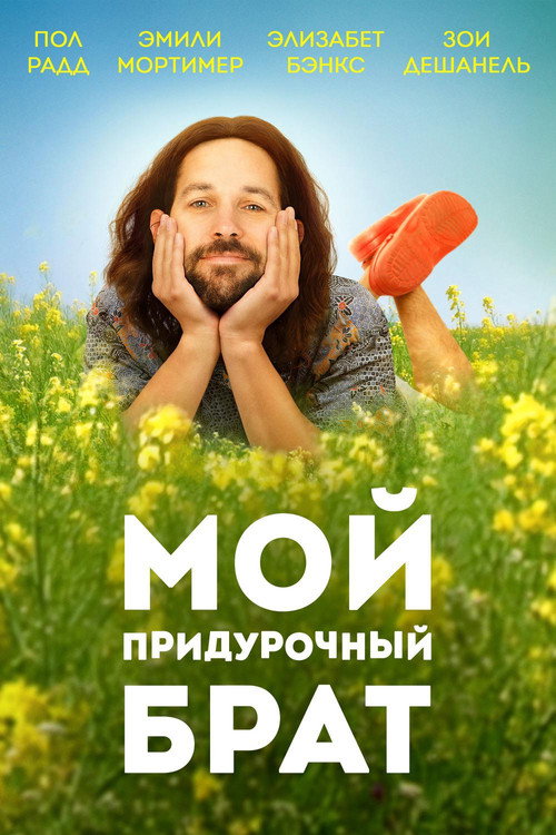 Мой придурочный брат — постер
