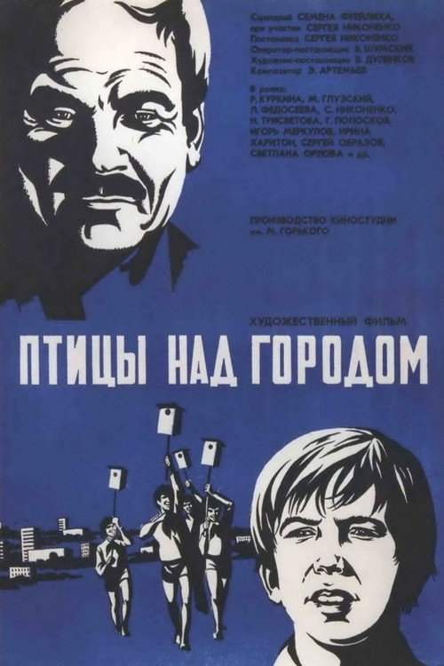 Птицы над городом — постер