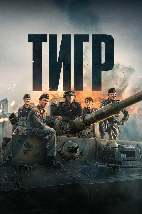 Тигр — постер