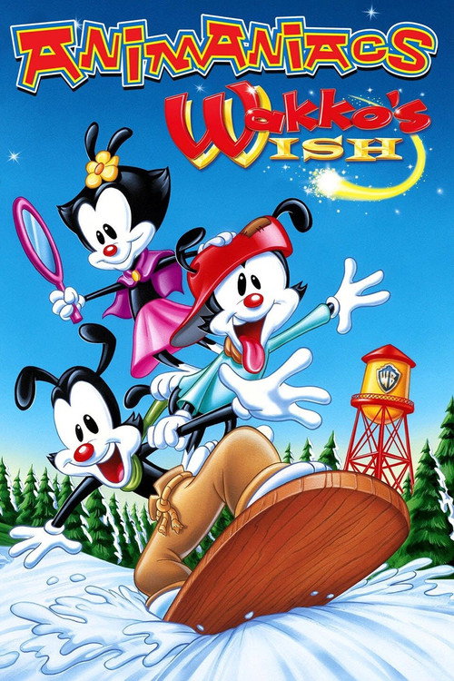 Animaniacs: Wakko's Wish — постер