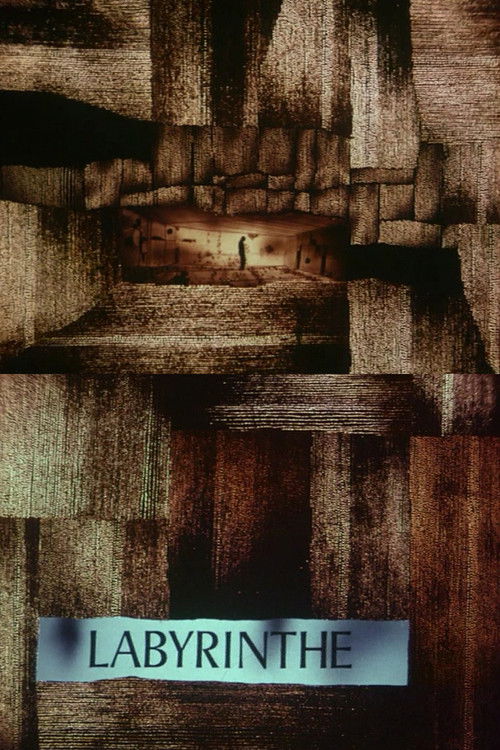 Le labyrinthe (1969) — постер