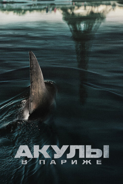 Акулы в Париже — постер
