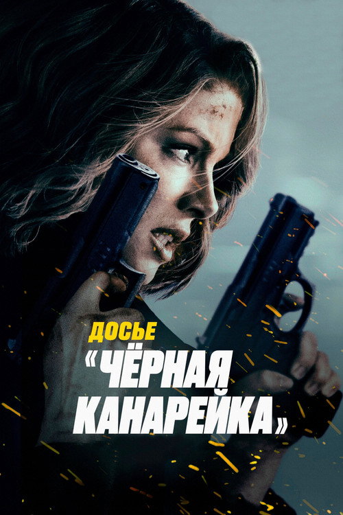 Досье «Чёрная канарейка» — постер